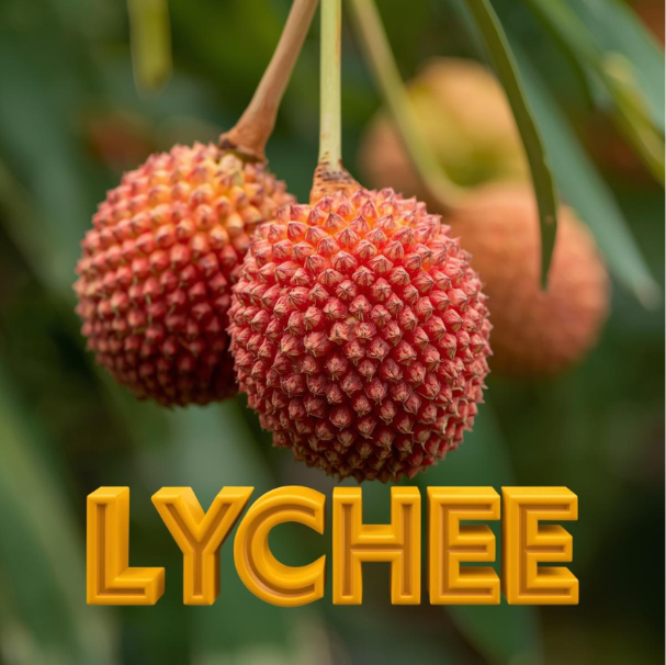 Lychee Chocolate