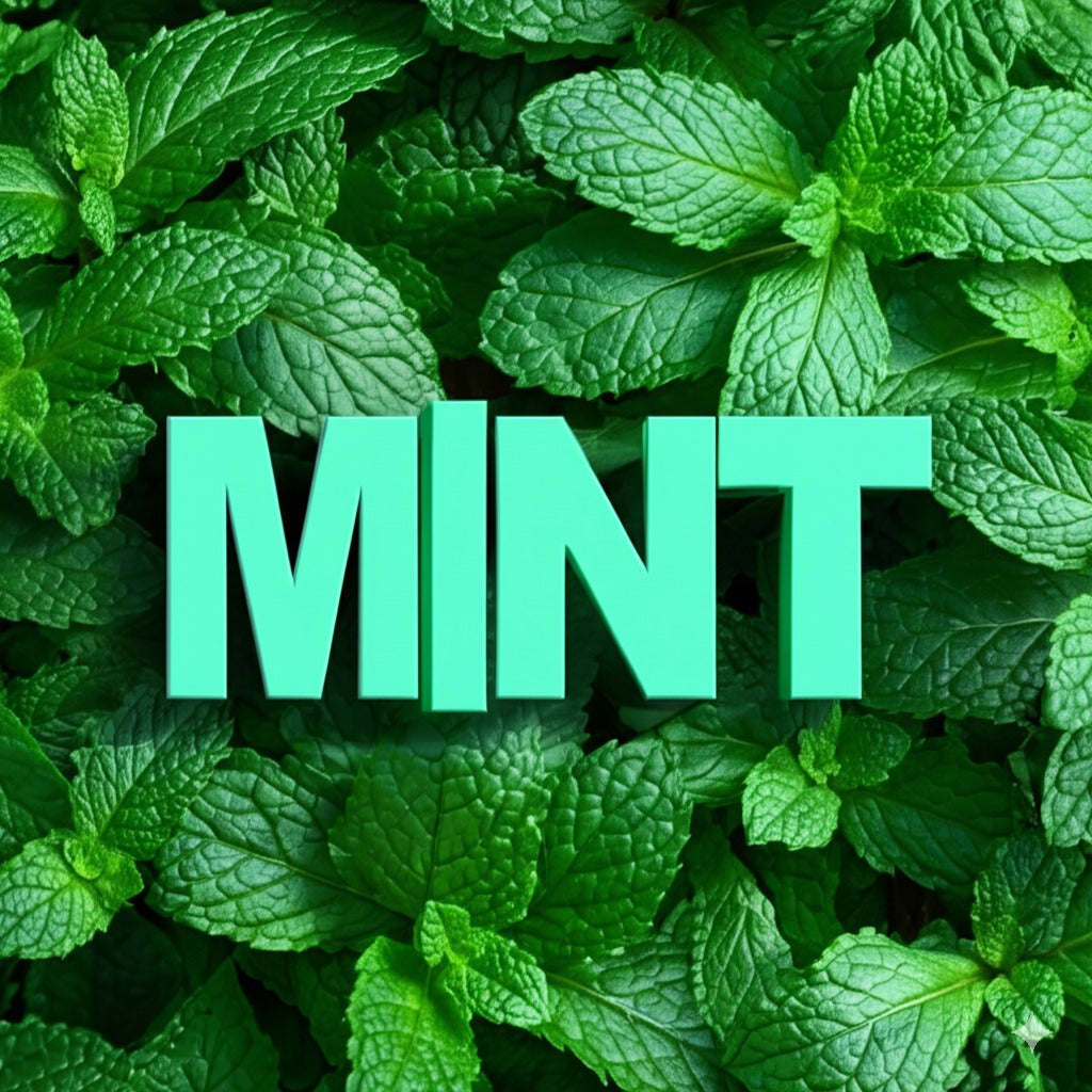 Mint Chocolate