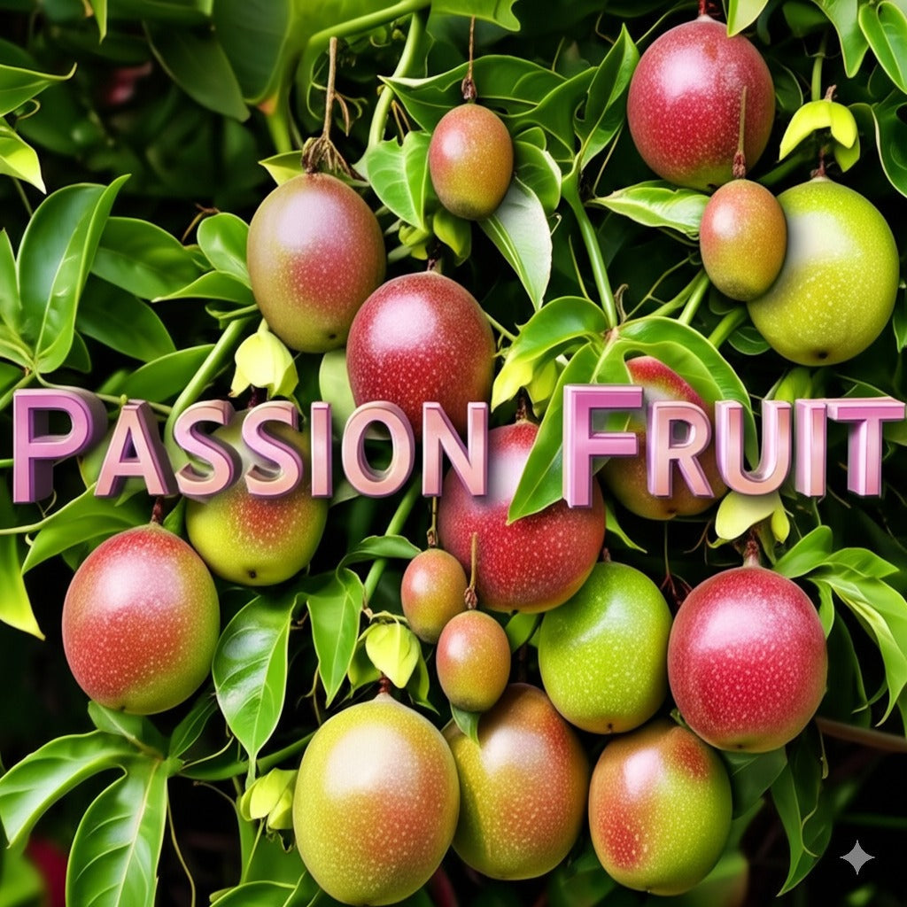 Passion Fruit Chocolate