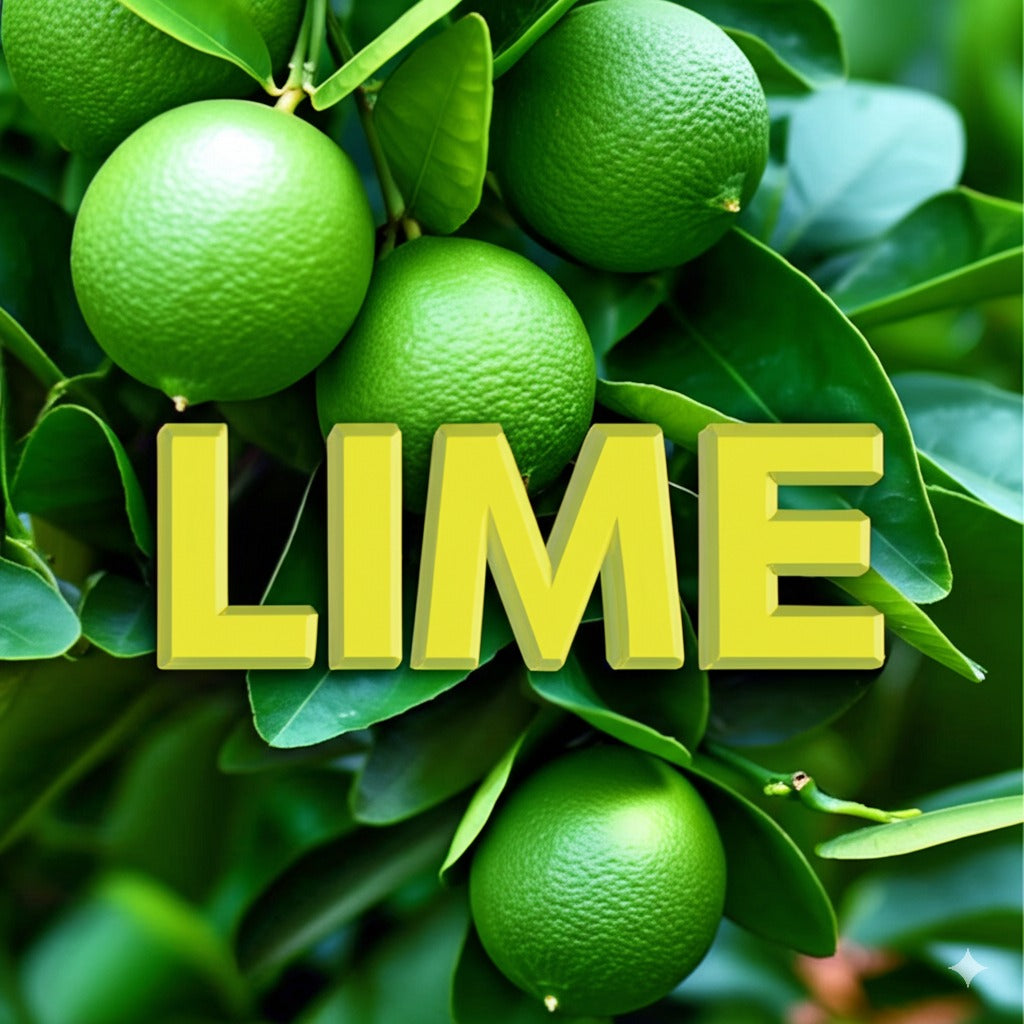 Lime Chocolate