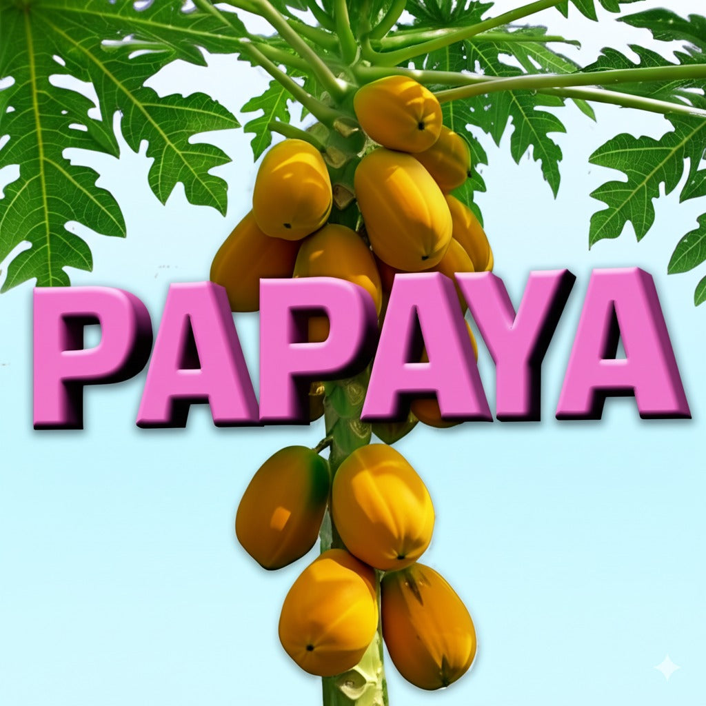 Papaya Chocolate
