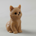 Caramel Kitty