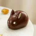 Dark Bunny