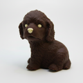Dark Puppy