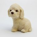 White Puppy