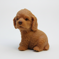 Caramel Puppy