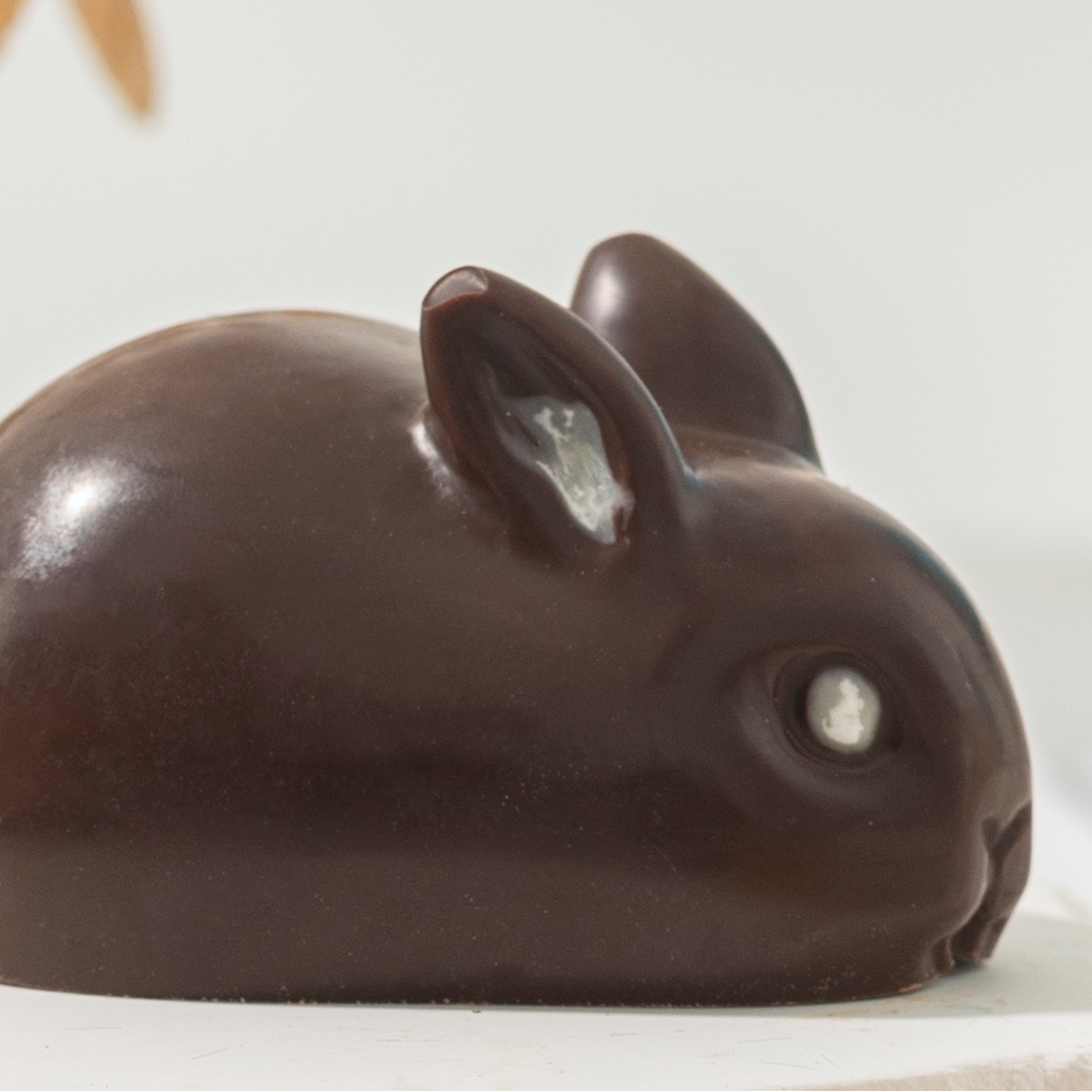 Dark Chocolate rabbit on a white surface with a blurred background