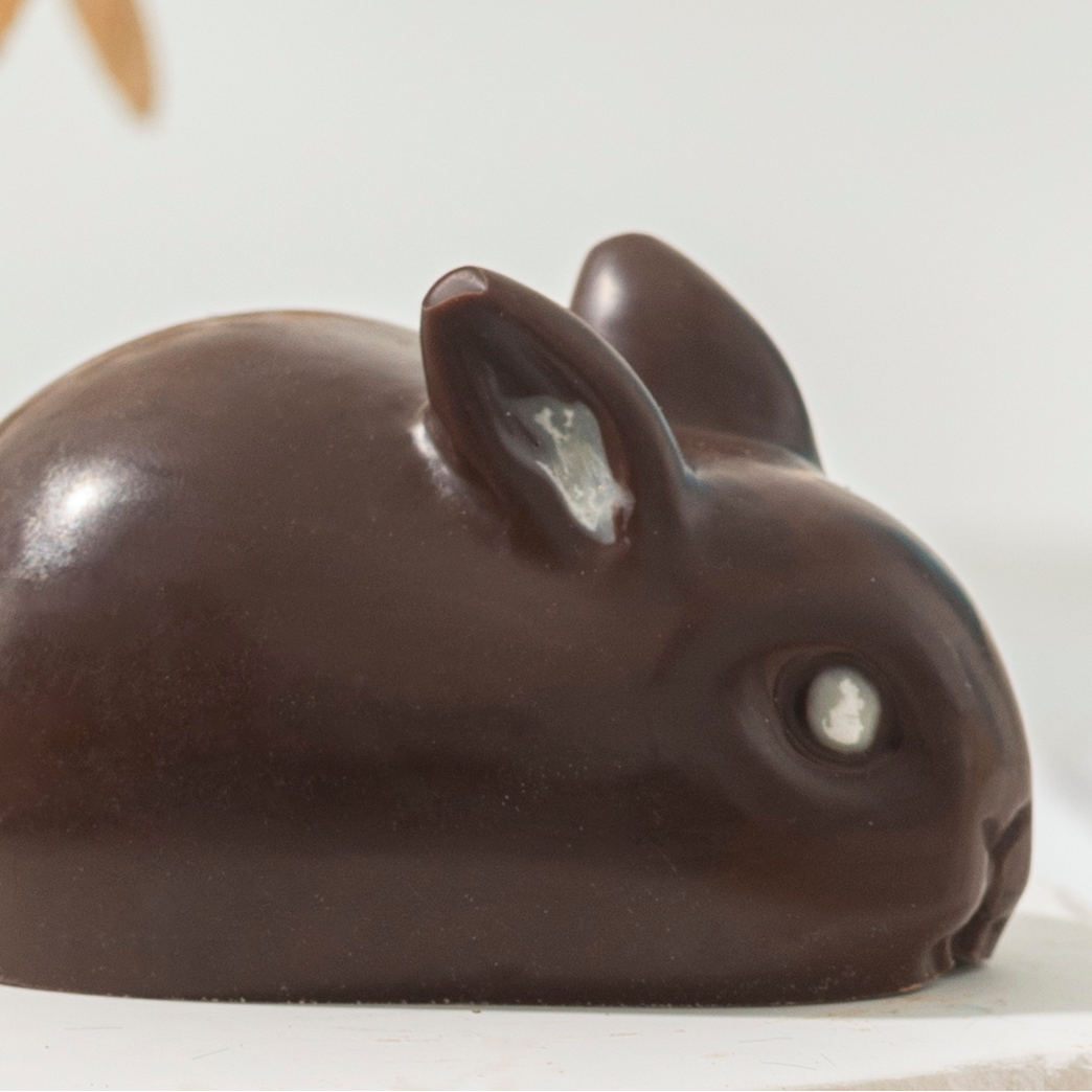 Dark Chocolate rabbit on a white surface with a blurred background